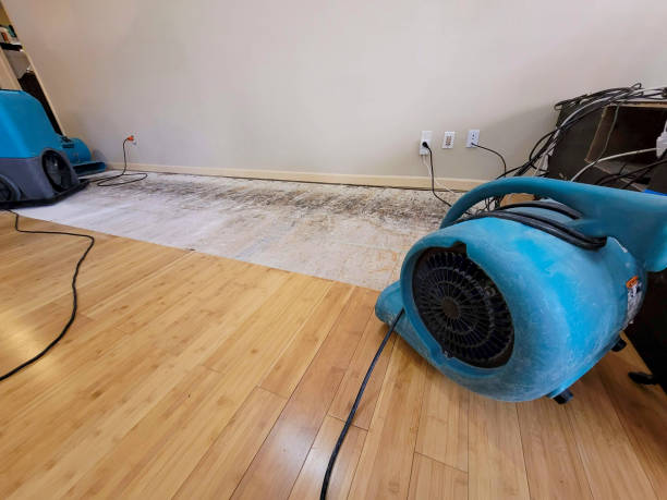 Professional Water Damage Repair technician working in New London, IA